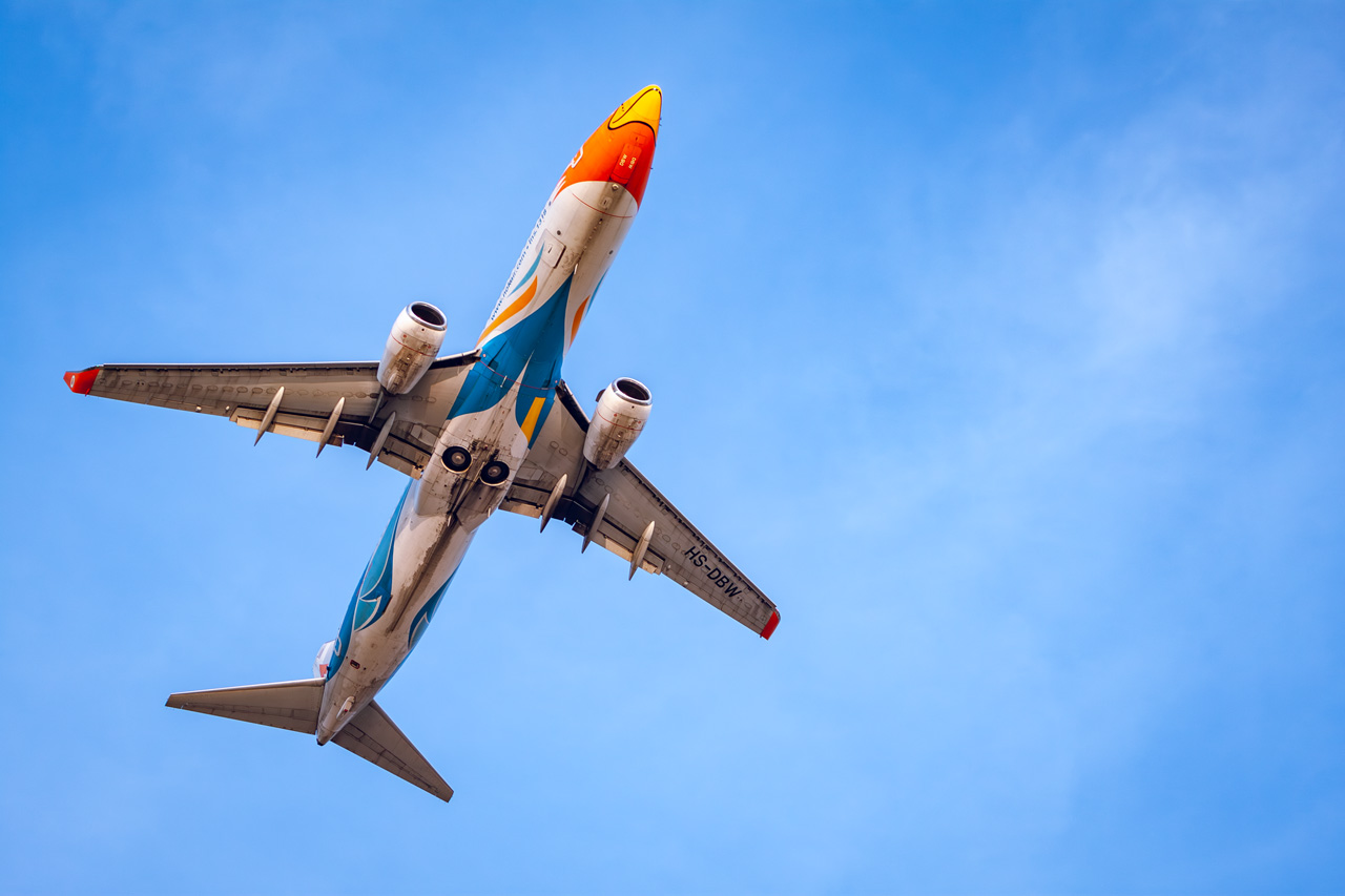 Underside of a passenger airplane painted with a duck-themed livery, viewed from below.